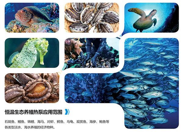 恒溫養(yǎng)殖熱泵機組